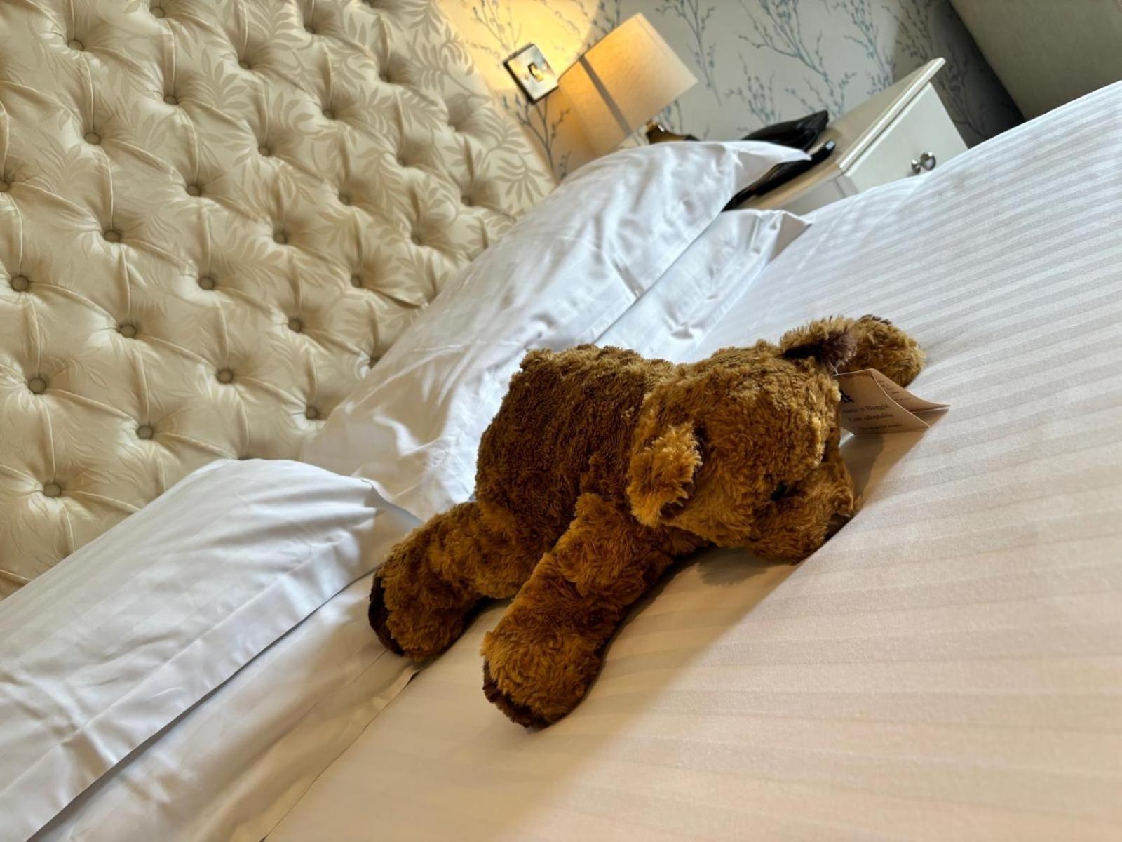 Blackaddie House Hotel Sanquhar Экстерьер фото